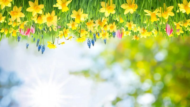 2025 SPRING NEWS!